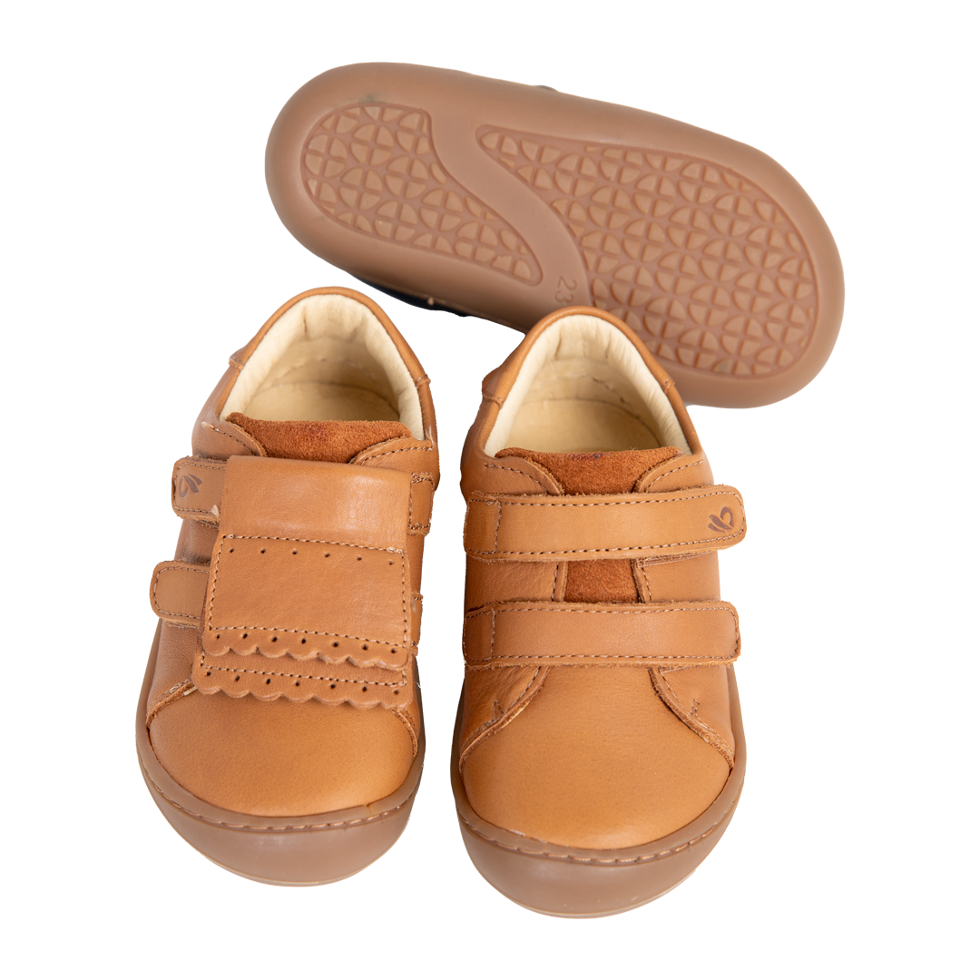 Ovelhas Barefoot Camel - Bunny Barefoot